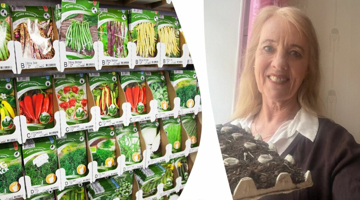 Frönyheter att frossa i 2026 – här är trädgårdsredaktörens 5 favoriter