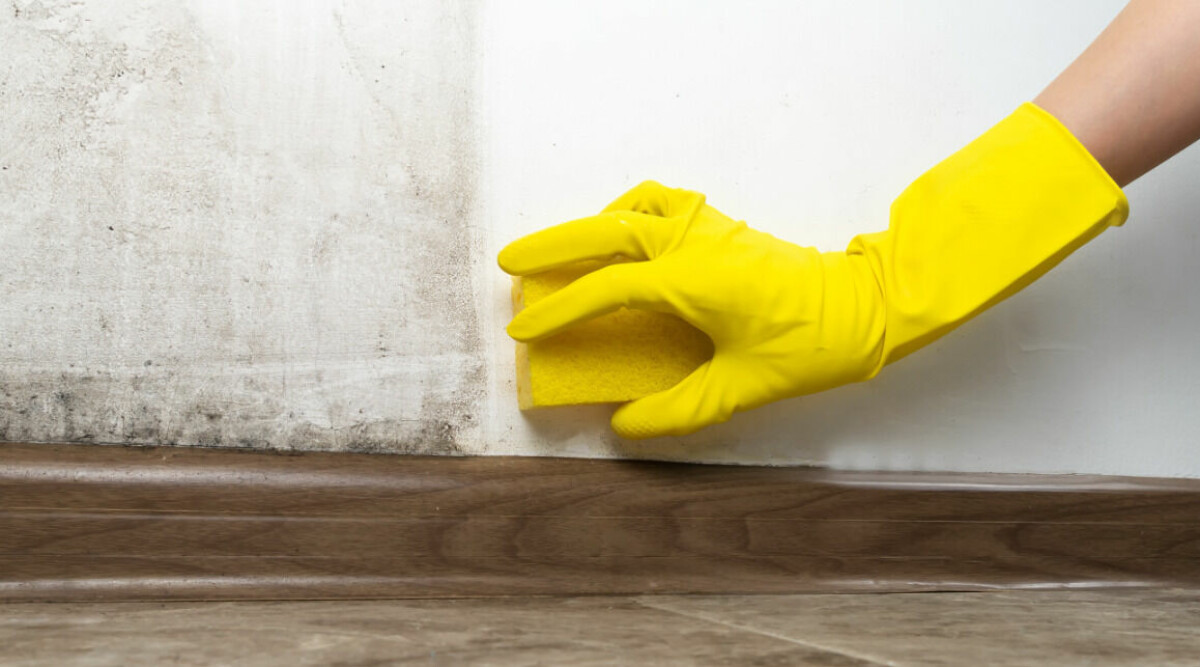 10 knep för att få bort fula fettfläckar och annat kladd på väggen – så gör du