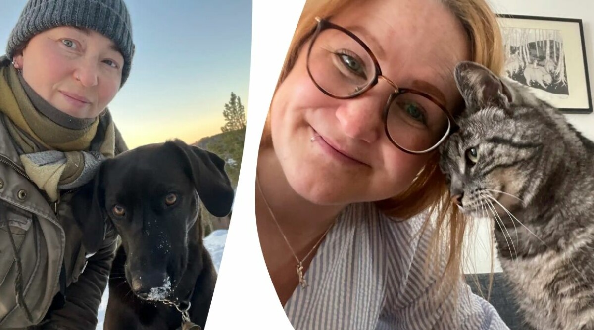 Här är redaktionens gulliga husdjur – pälsklingarna som är med oss överallt