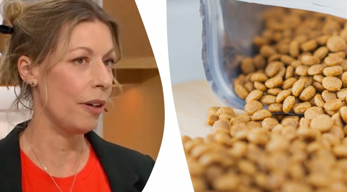 Här är det bästa och sämsta hundfodret – innehåller ämnen som kan skada din hund