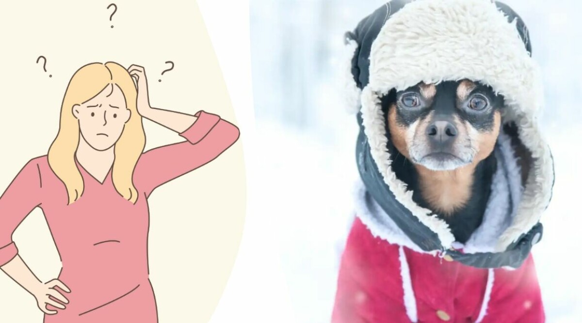 Jag skäms över min kompis pinsamma hund – kan jag säga ifrån?