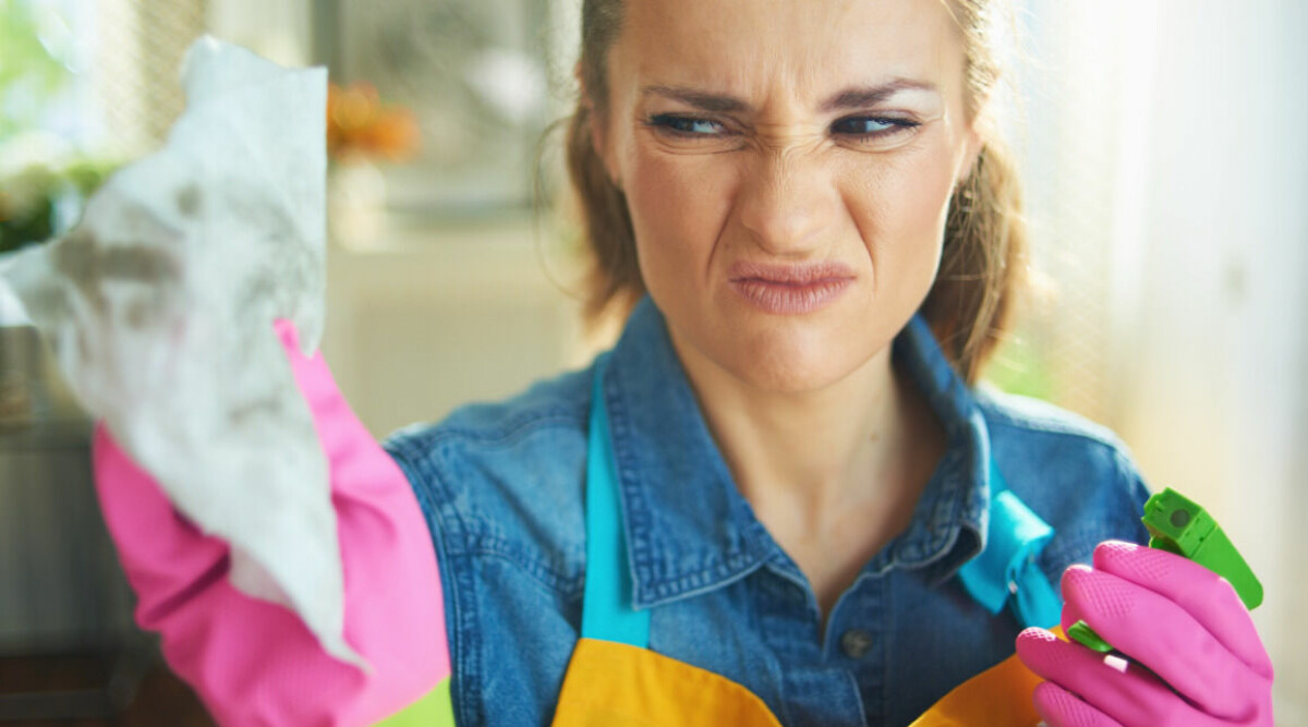 Detta är den snuskigaste prylen i ditt hem – så får du den ren på riktigt