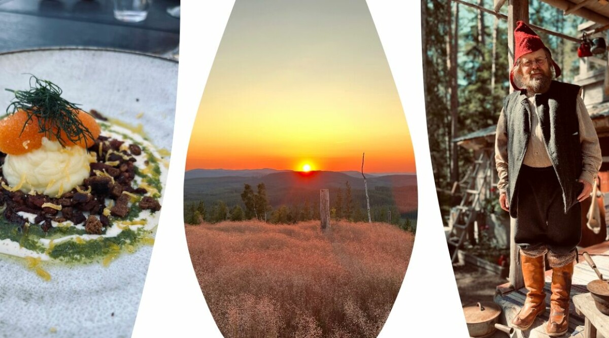 Svenska landskapet är trendigaste resmålet 2026 – det här får du inte missa