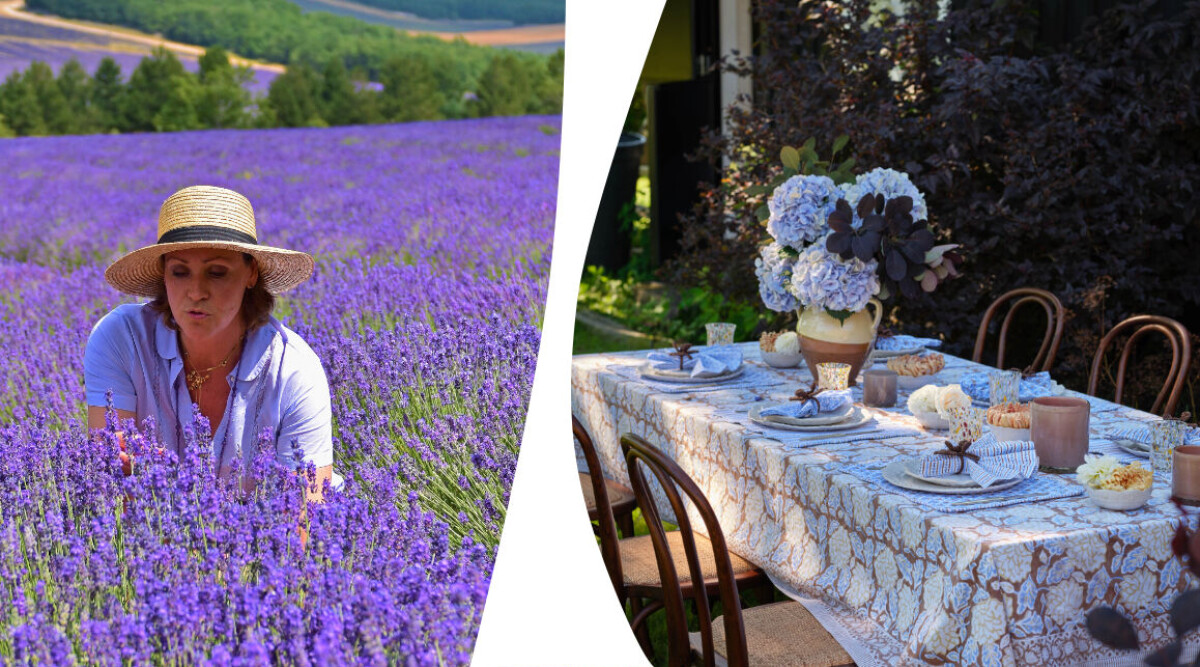 Drömmen om Provence – 5 lätta genvägar till fransk lantstil