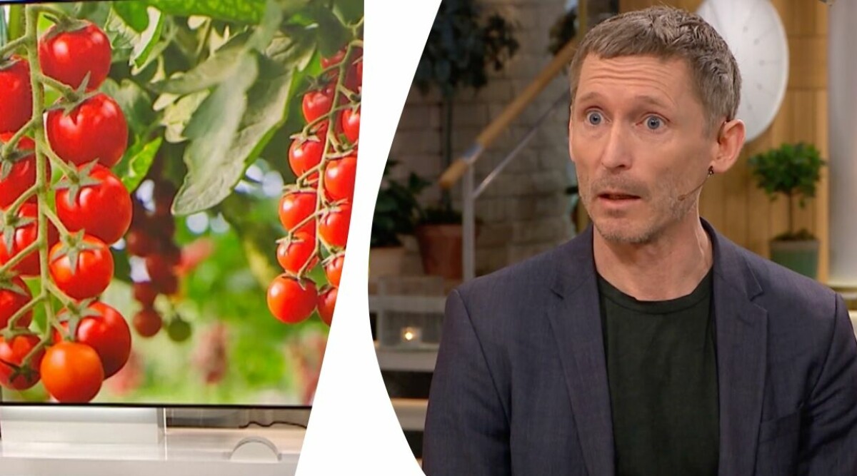 Stort test: Här är småtomaterna som innehåller farliga ämnen – säljs i din butik