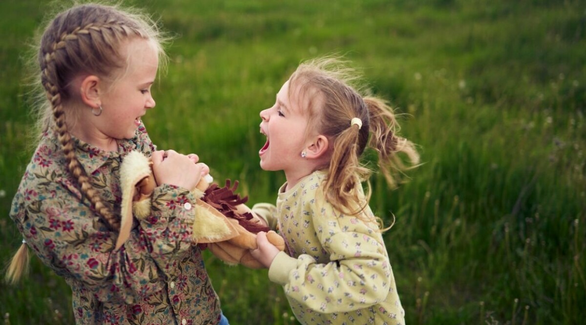 Slutbråkat – så hanterar du syskonrivalitet