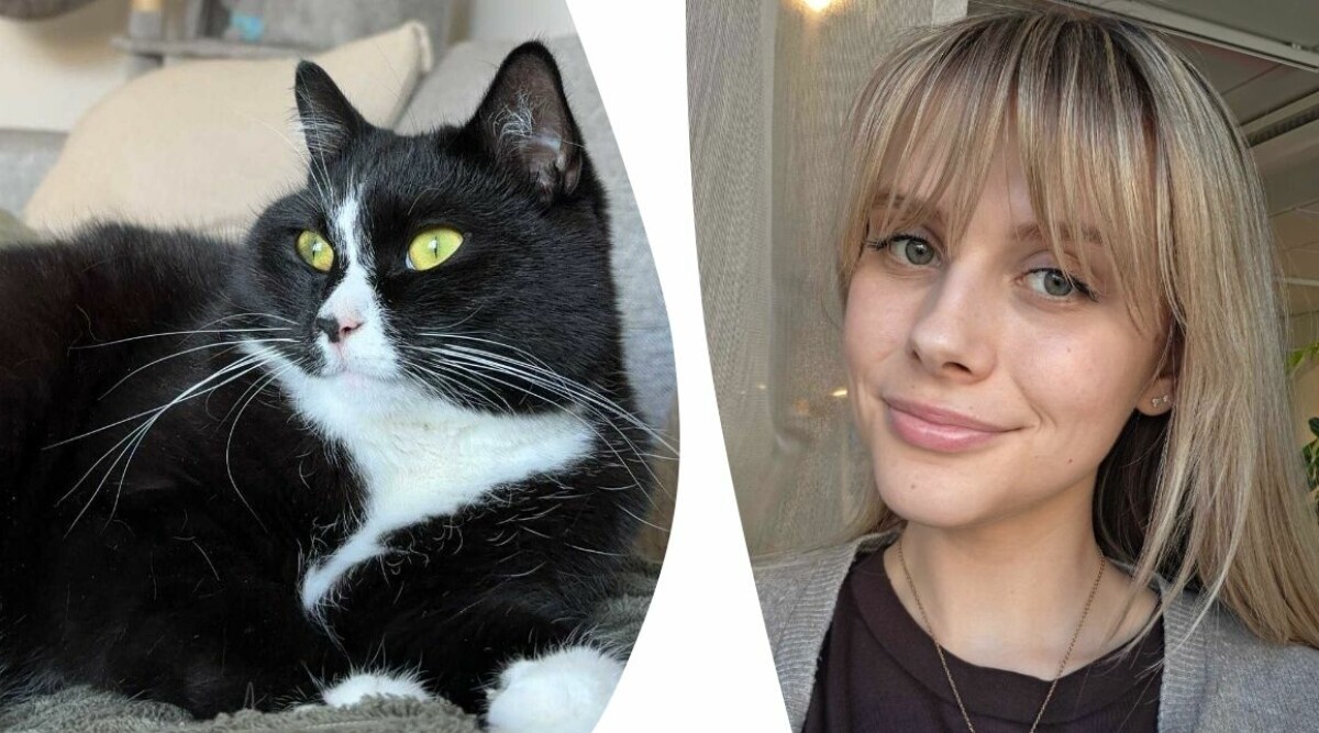 Min katt var deprimerad – så fick jag honom lycklig igen
