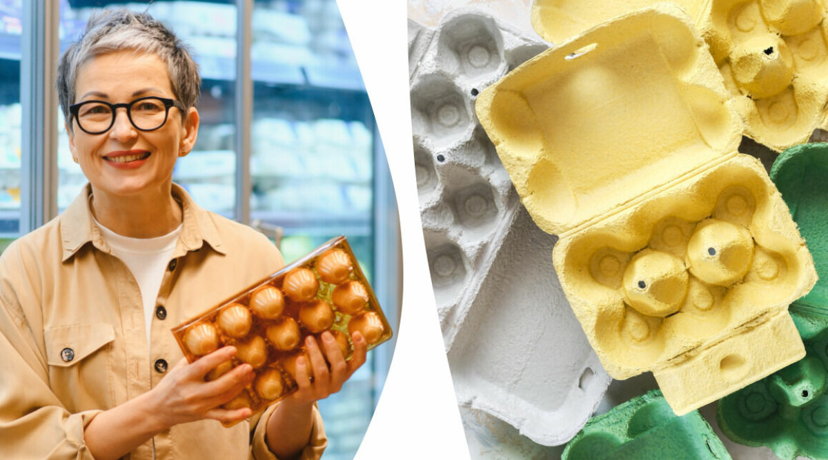 Därför ska du aldrig slänga dina äggkartonger – experten förklarar