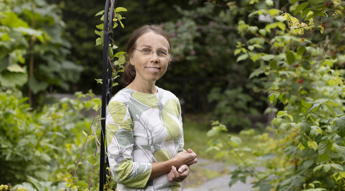 Åsa och familjen testade att äta för endast tusen kronor i veckan – så gick det: ”Ett uppvaknande”