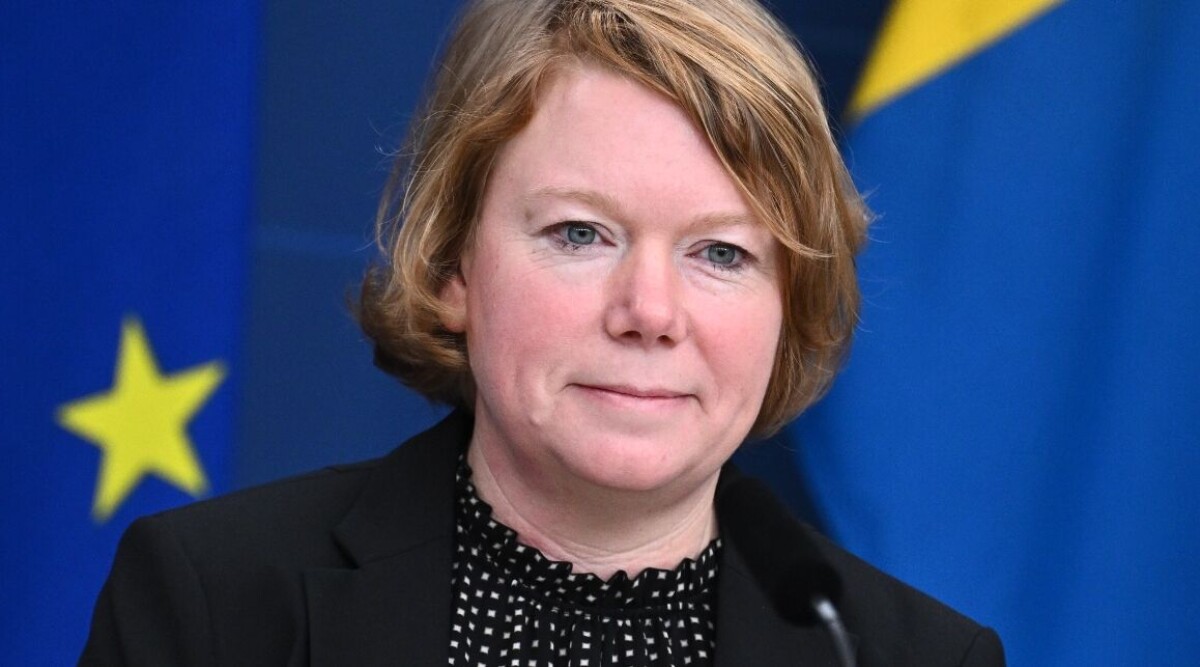Liberalernas Malin Danielsson: Frustrerad men inte orolig