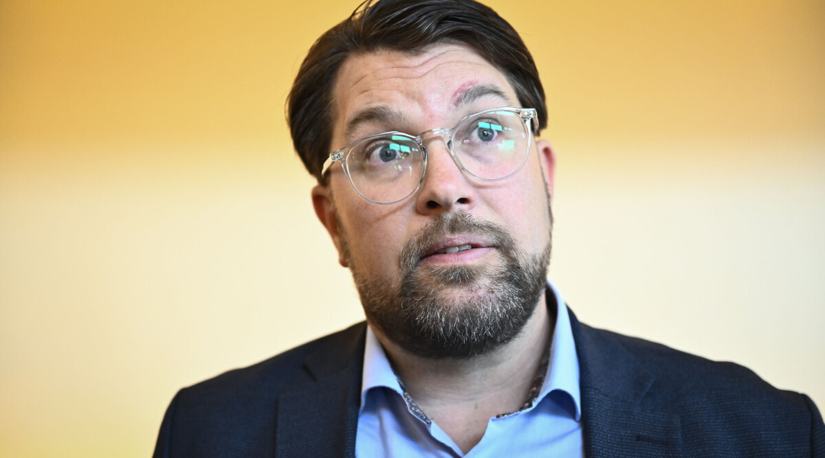 Jimmie Åkesson: ”Horribla övergrepp – klart man känner oro”