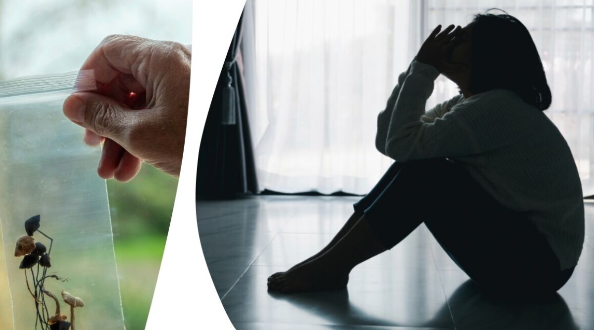Magiska svampar mot depression – nytt hopp eller riskabel trend?