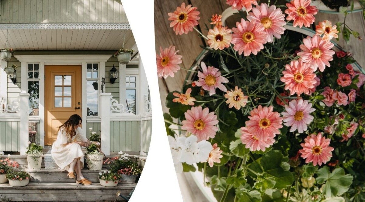 Så fixar du ett enkelt och vackert uterum – på trappan