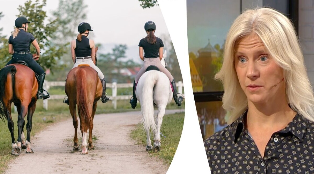 Stort test av ridhjälmar: Här är de bäst och sämsta – flera dyrare modeller får bottenbetyg