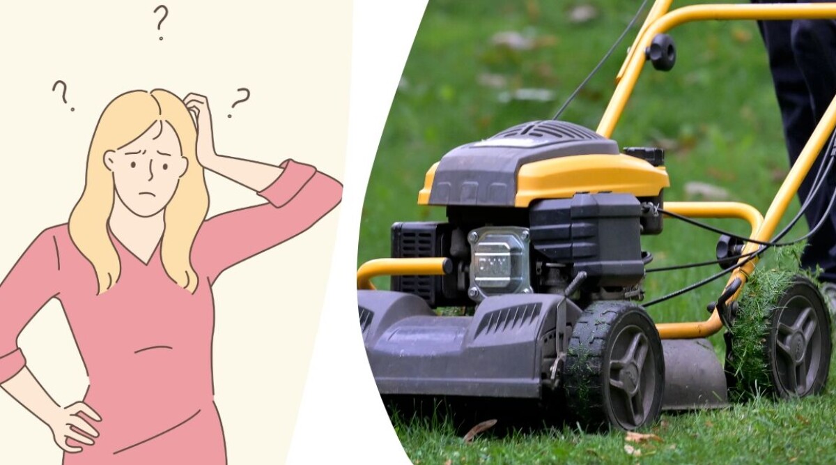 Min granne är besatt av sin gräsmatta – har jag rätt att säga ifrån?