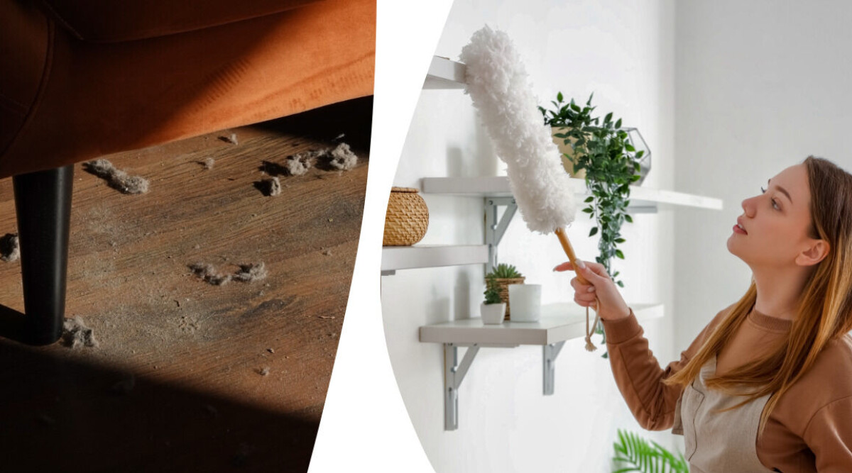 7 dolda dammfällor hemma som många missar – experternas tips