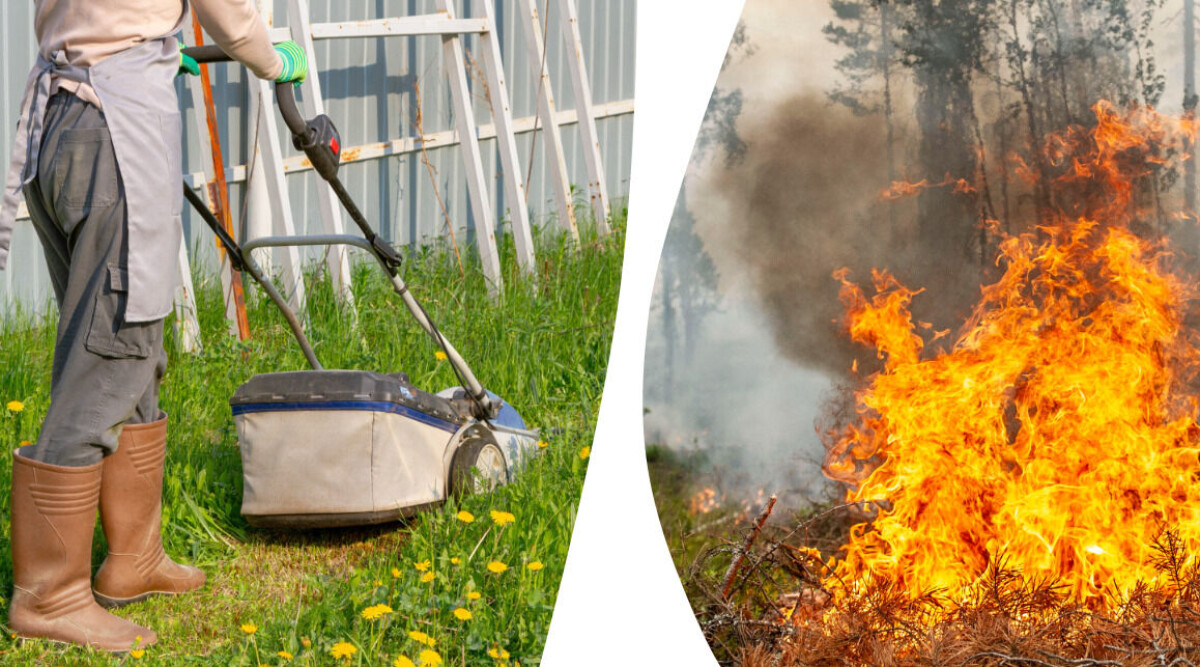 Så skyddar du huset vid skogsbrand – små sakerna som kan avgöra