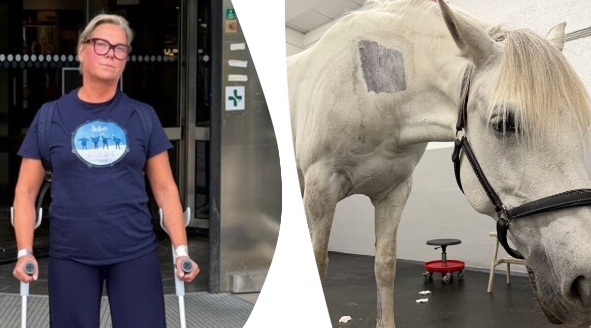 Har precis gjort en atrosoperation – efter möte med vården önskar jag att jag vore häst