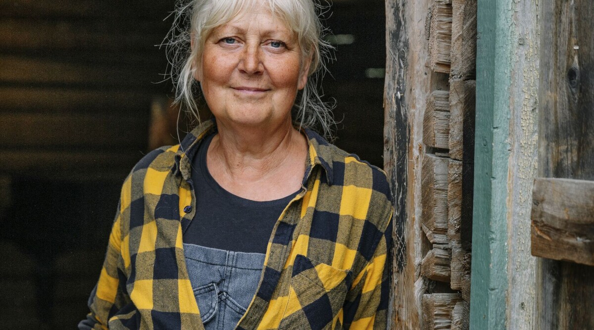 Susanne förverkligade sin dröm vid 53 – förvandlade gården till känt turistmål