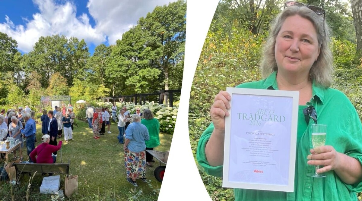 Årets trädgård 2026 har korats – här är alla bilderna