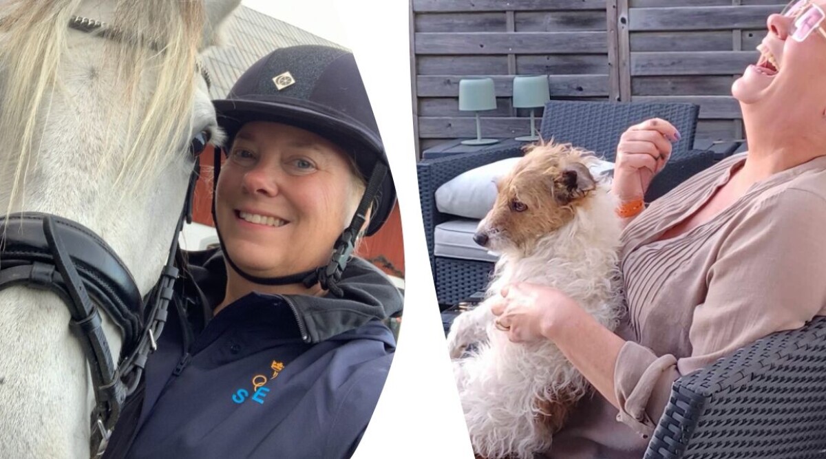 Jag är inte en hjärtlös person – men jag avskyr verkligen hundar