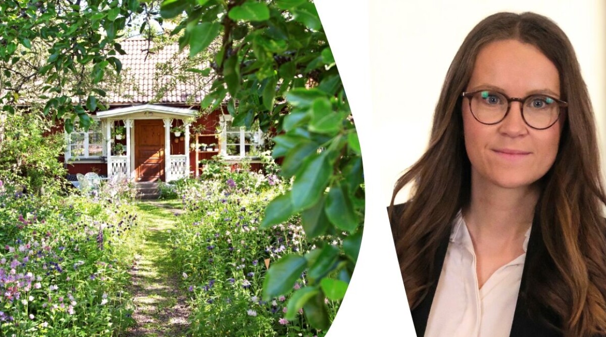 Juristens råd: Så undviker ni bråk om släktens sommarhus
