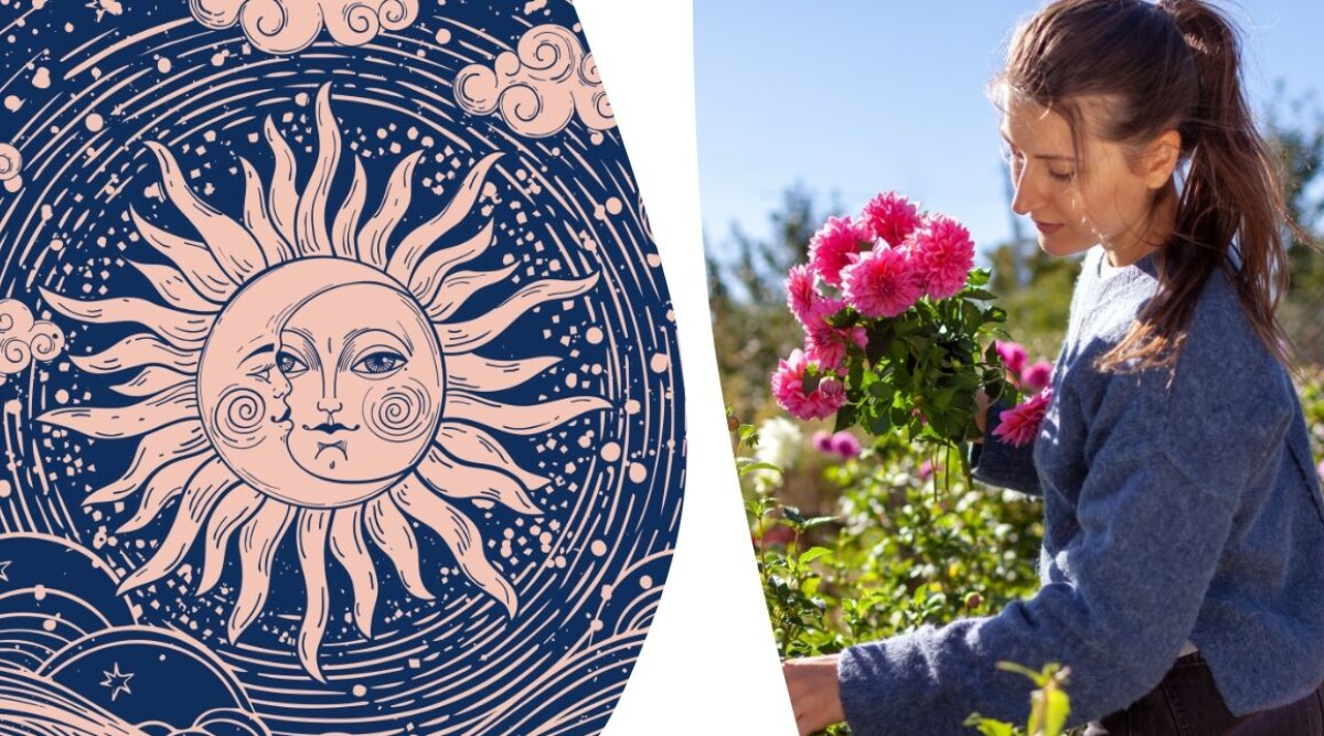 Bondepraktikan 9-15 september: Det säger blommorna i din trädgård om höstens väder