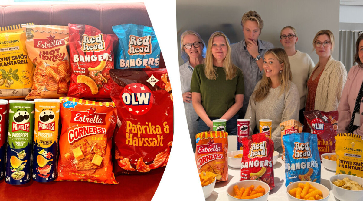 Vi testade höstens alla chipnyheter vi kunde hitta i affären – bäst och sämst: ”Som wellpapp”