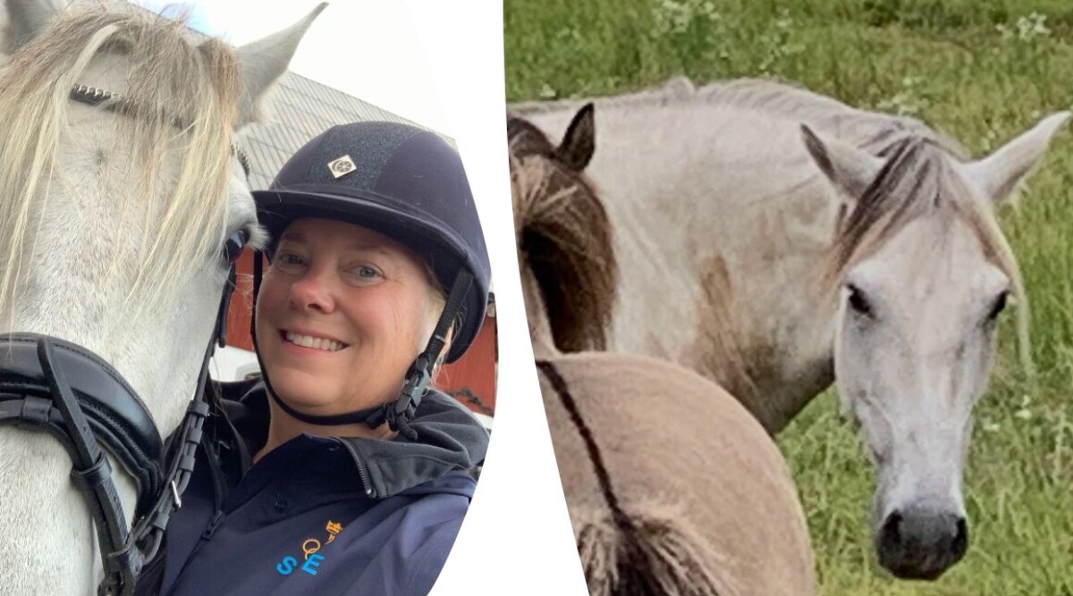 Så förstod jag att min häst var deprimerad – lärde mig egentligen redan som barn