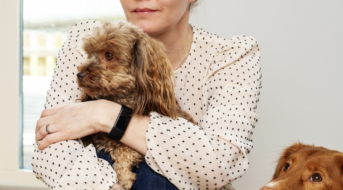 Annika led av kronisk förstoppning i 25 år: Jag satt på toa i timmar