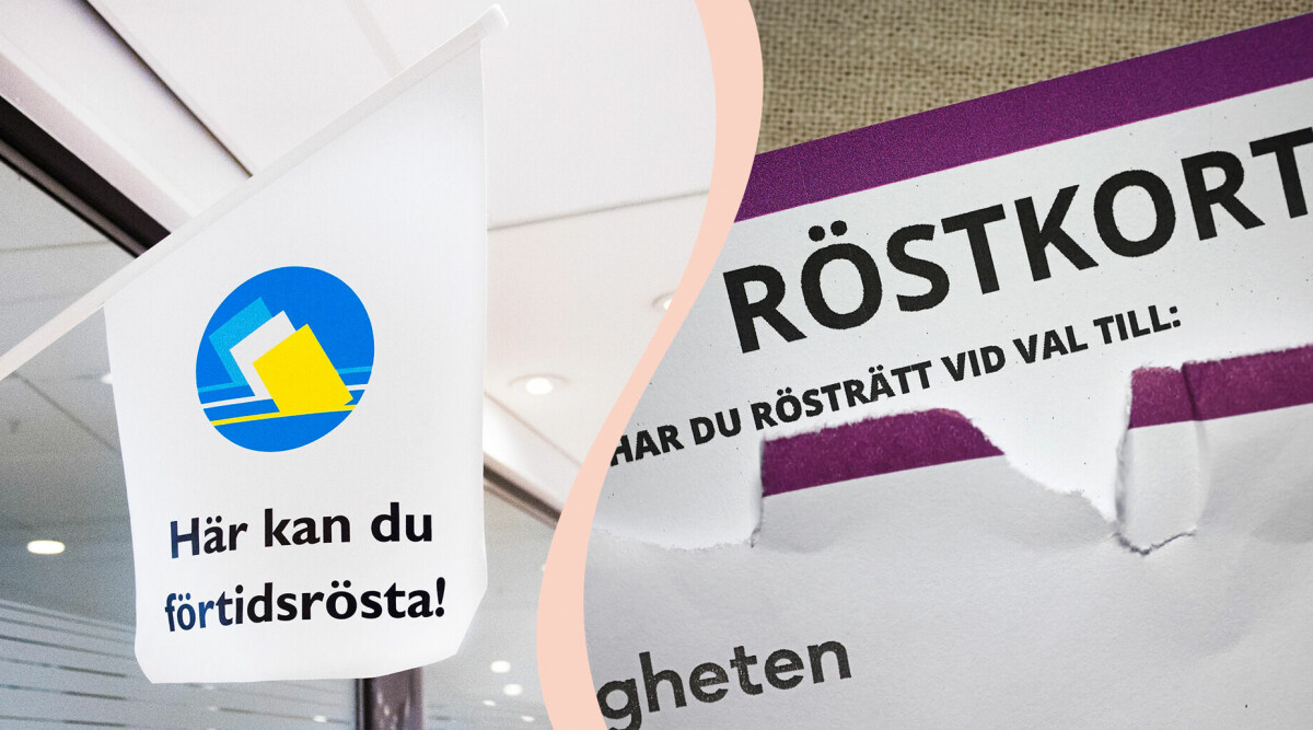 Så förtidsröstar du i riksdagsvalet