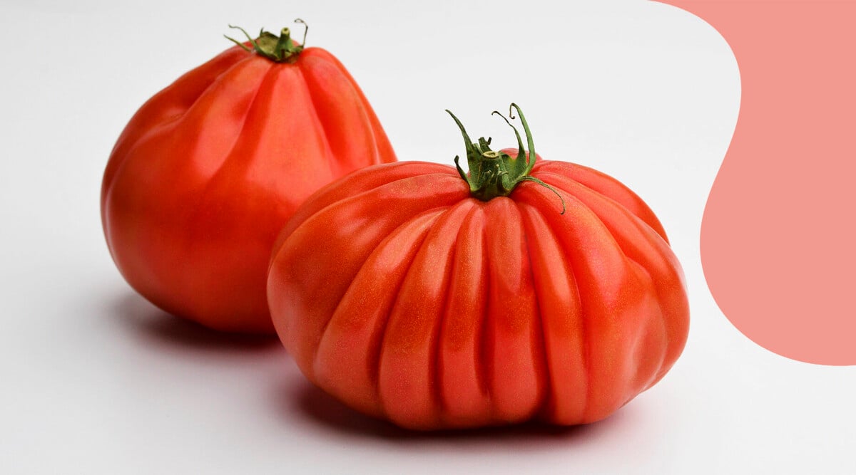 Superknepet: Därför ska du förvara tomaterna upp och ner