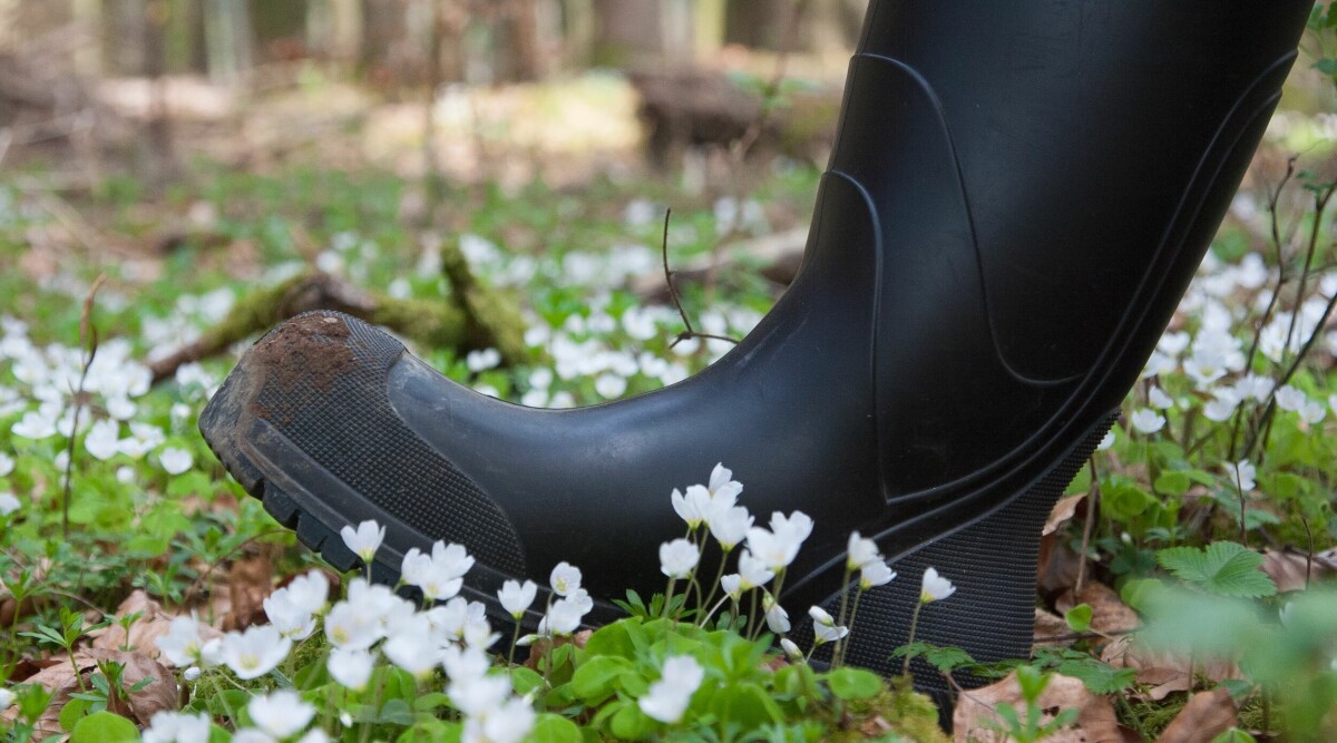 Så tar du hand om dina gummistövlar – och undviker skavsår