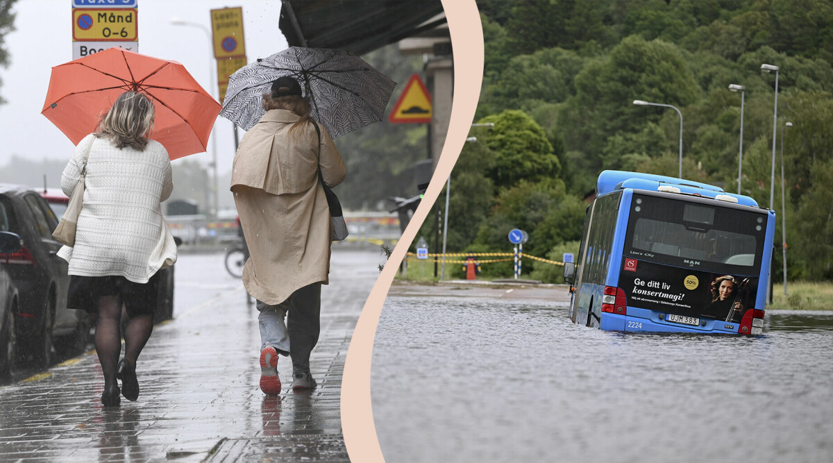 Vad hände med den heta sommaren 2023? Meteorologen reder ut