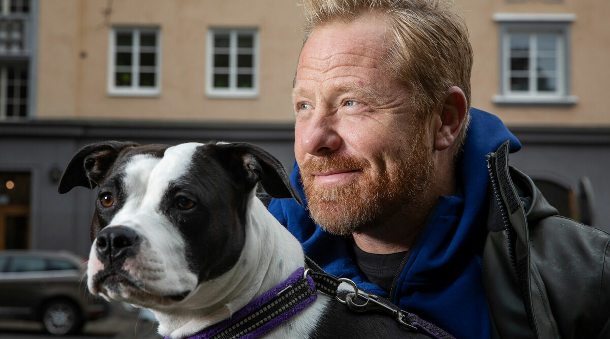 Fredrik Steen: Det ska du göra om hunden skäller