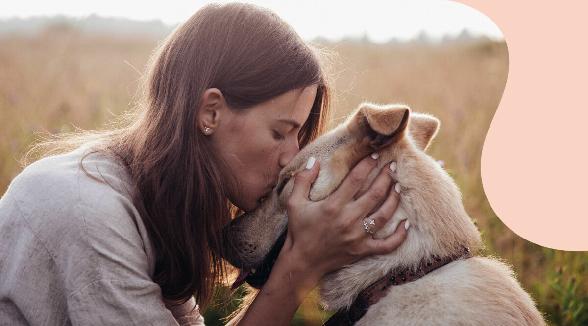 Så hanterar du sorgen när hunden dör – 5 steg som gör det lättare