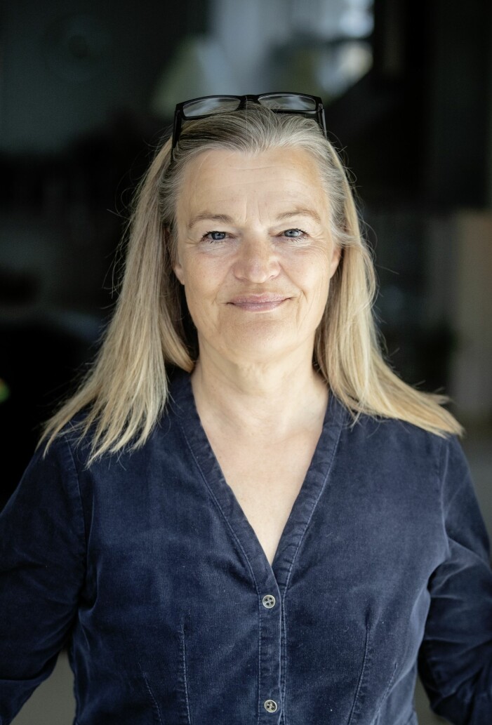 Karen Lumholt är journalist, före detta chef för tankesmedjan Cura, medlem av Selskabet for Fremtidsforskning och har skrivit flera böcker om framtidens gemenskaper.