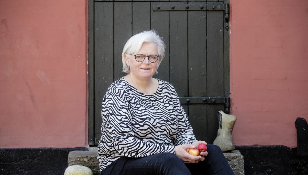 – Det är enormt tillfredsställande att ha startat något på egen hand, säger Kirsten om sin nya karriär. Kirsten Rohde Jensen lämnade arbetet på bankem och blev äppelodlare i stället.