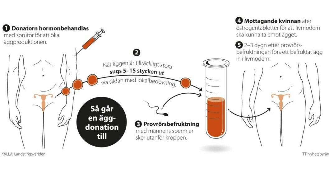 Grafik: Petra Frid/TT Grafik över hur äggdonation går till.