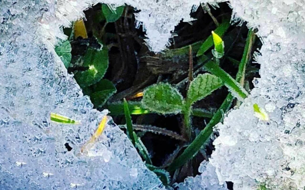 Agneta hittar de flesta av sina hjärtan i naturen. Foto: Agneta Sjödin/Instragram Agneta Sjödin hittar de flesta av sina hjärtan i naturen.