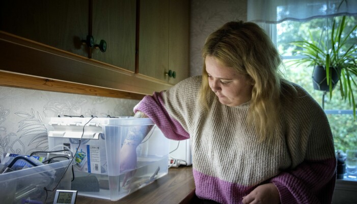 – Min drömresa är att åka till Mexiko där axelotlar finns i det vilda, men då får Stefan stanna hemma, säger Amanda. Amanda sticker ner fingret i akvariet, till sin axolotl.