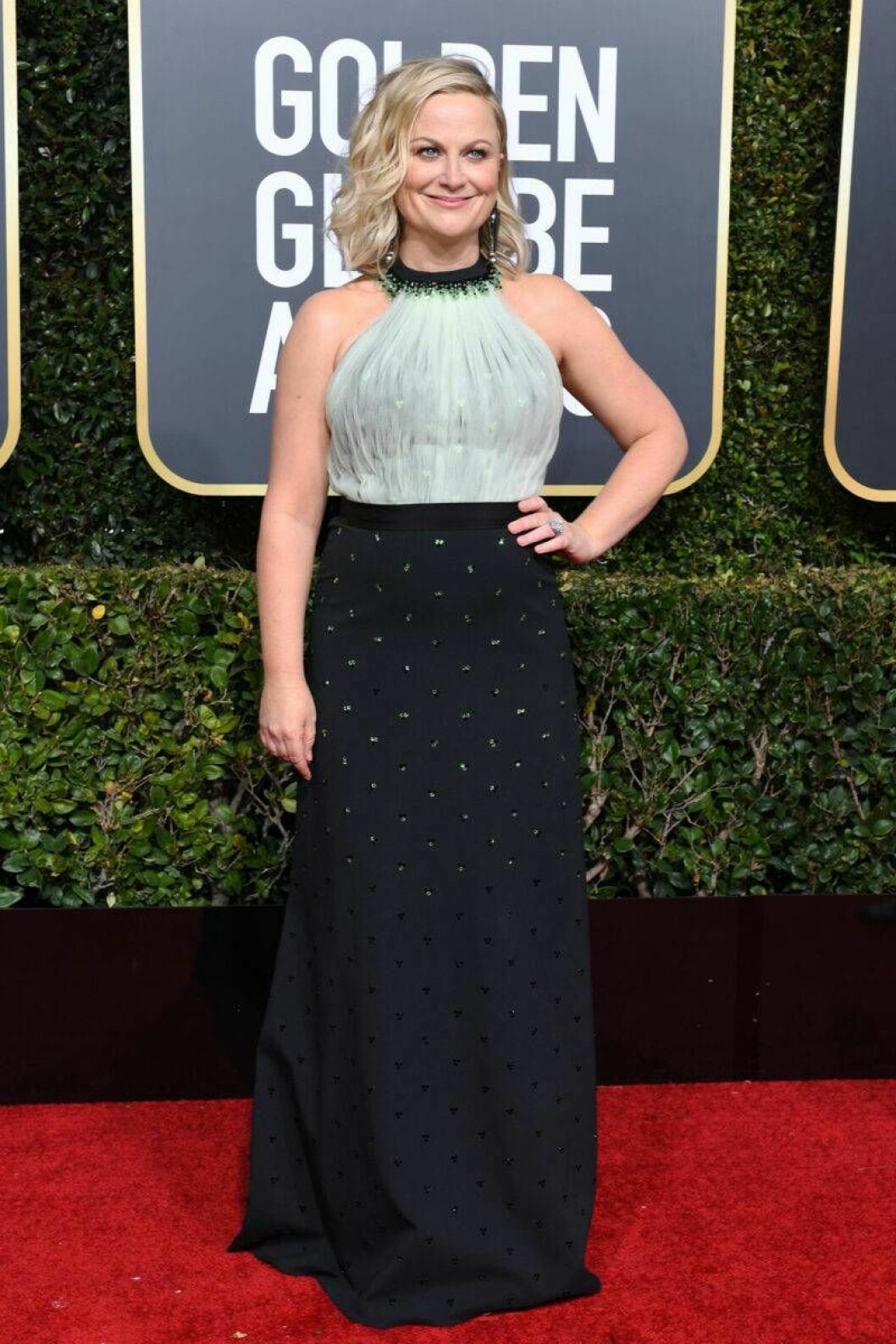 Amy Poehler på Golden Globe 2019