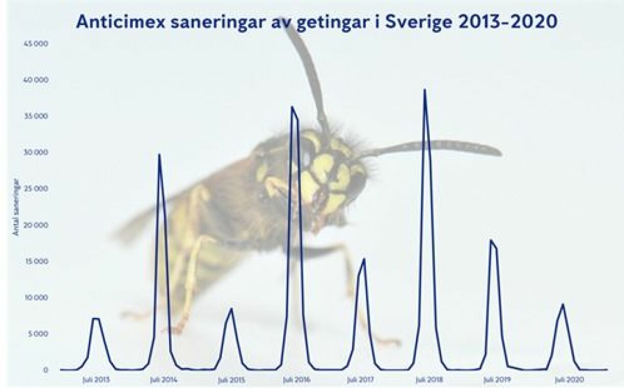 En illustration från Anticimex som visar mängden getingar i Sverige mellan 2013-2020.