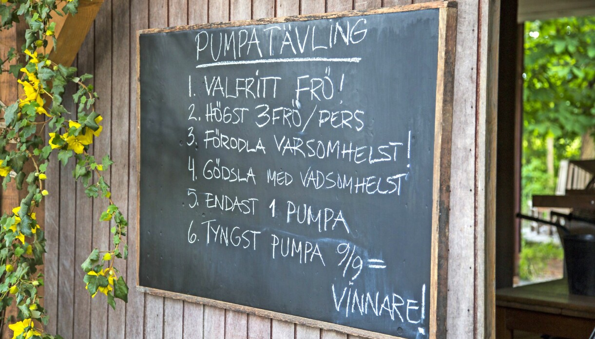Årets tävling! I fjolårets solrostävling blev det inte så lite munhuggning om odlingsmetoder och fusk. Årets tävling i Trädgårdstider på Svt blir en pumpatävling.