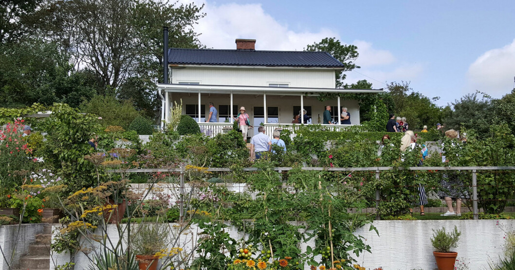 Årets Trädgård 2019