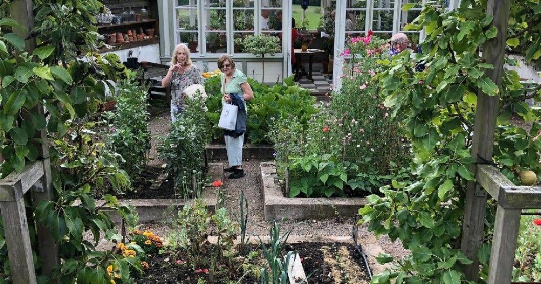 Foto: Susanne Lindén Årets Trädgård 2019