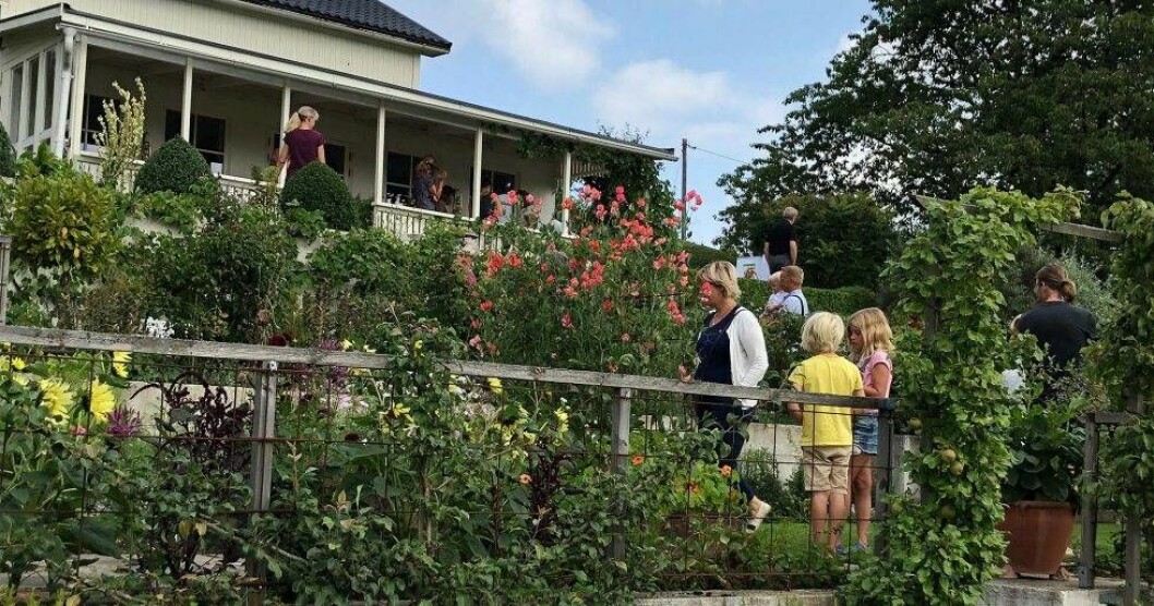 Foto: Susanne Lindén Årets Trädgård 2019