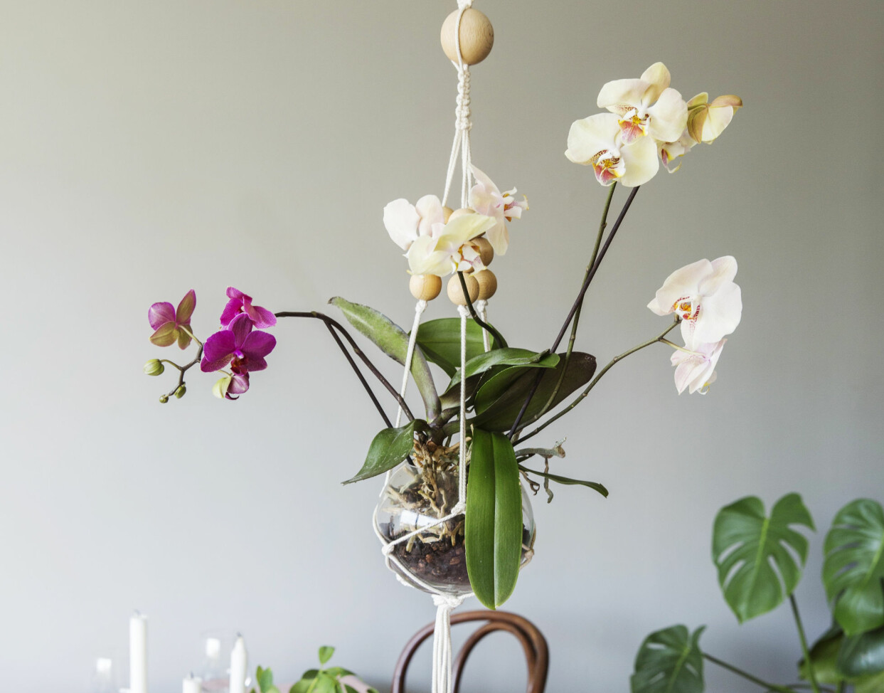 Arrangemang av orkidéer som svävar i luften.
