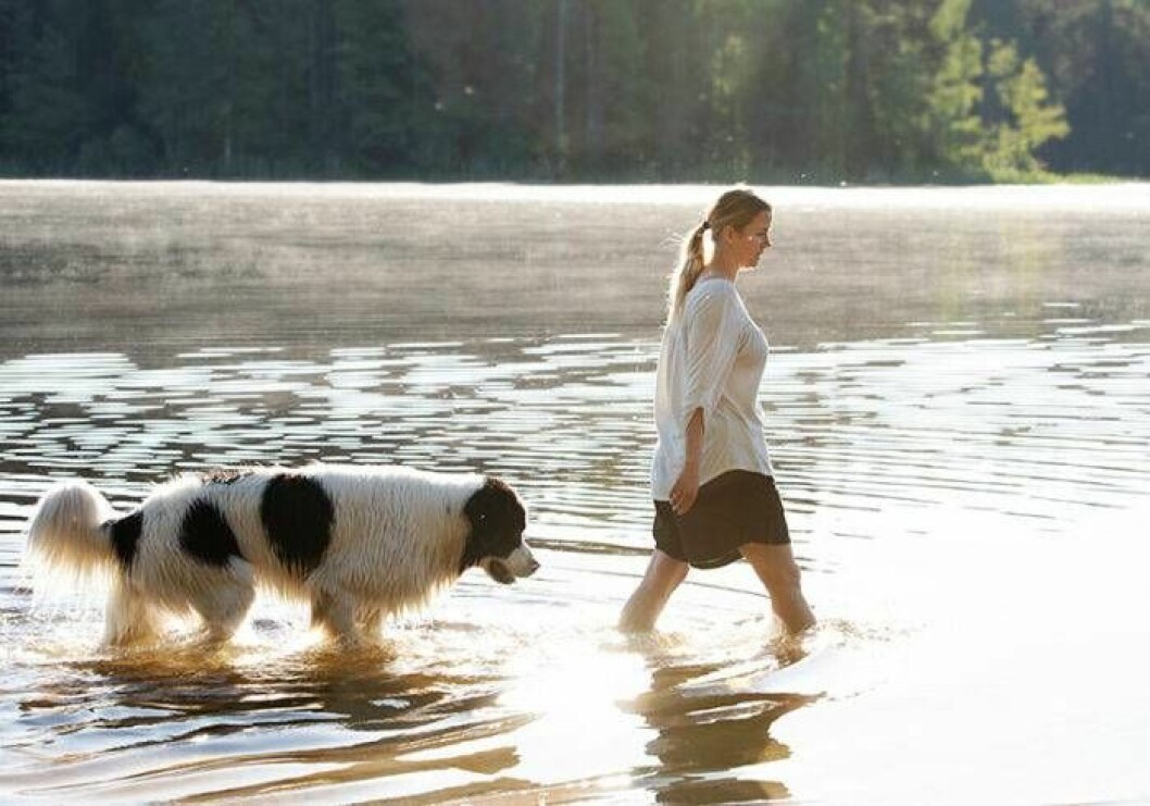 Hunden Shark känner av en ångestattack långt innan Benita vet att det är på gång. Foto: Theresia Köhlin Assistanshunden Shark och matte Benita