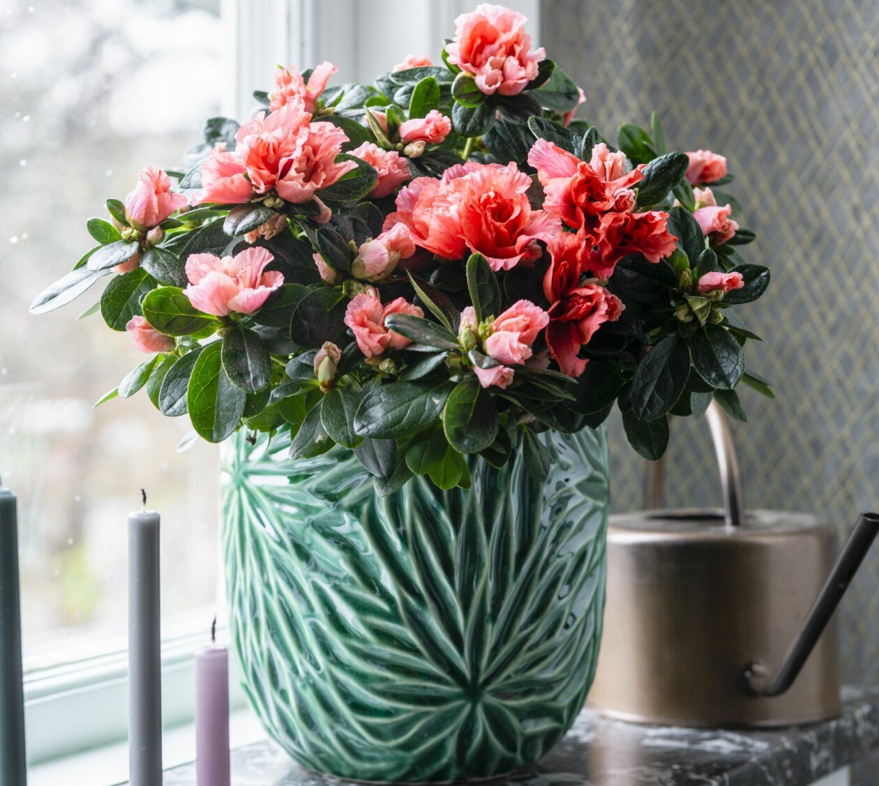 Azalea i grön vas i ett fönster.